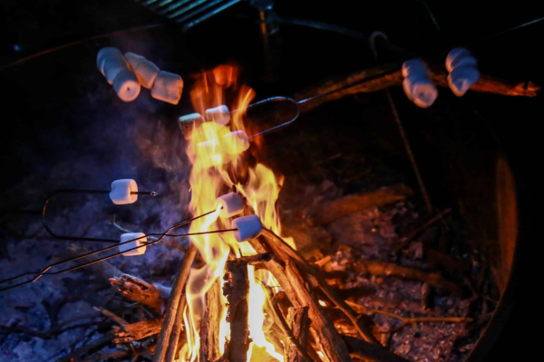 Campfire Cooking