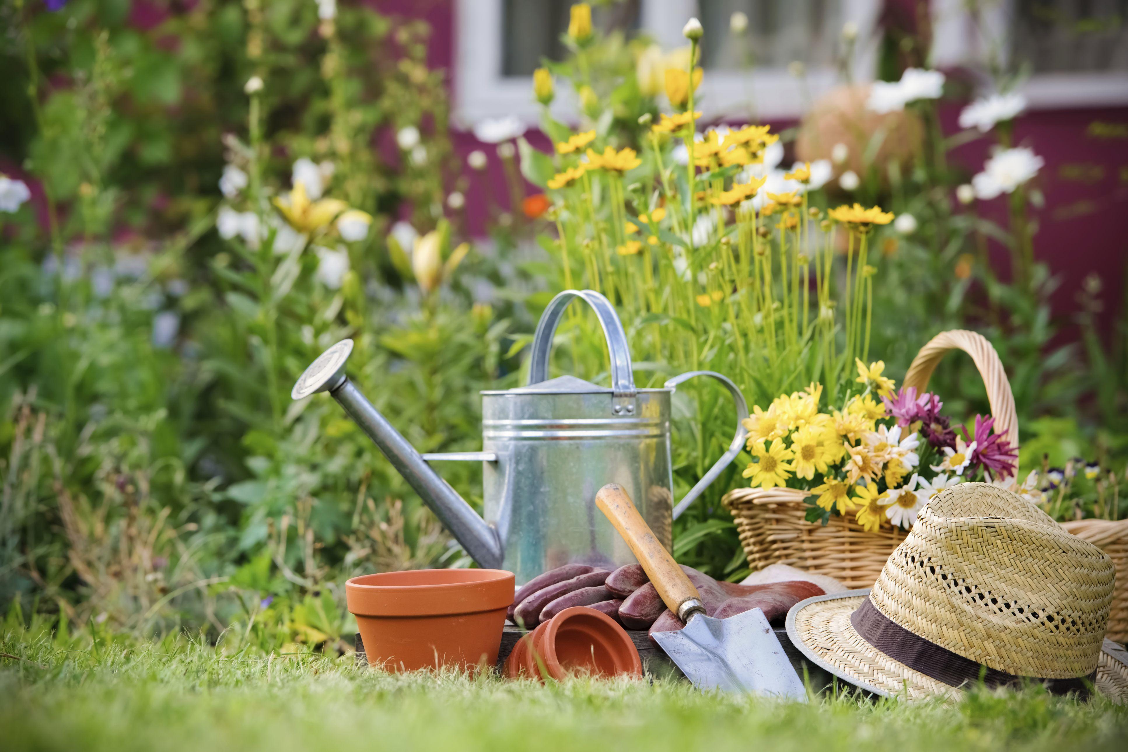 Gardening 101