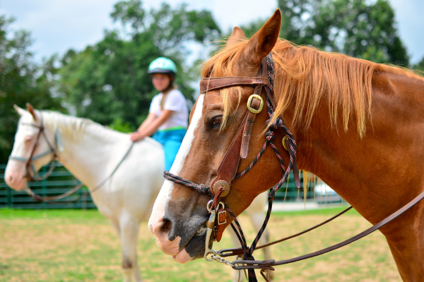 Horsemanship